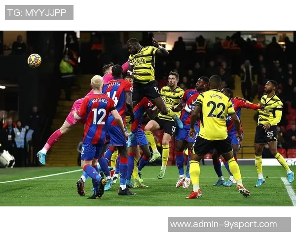 沃特福德足球俱乐部的辉煌历程与未来发展展望分析